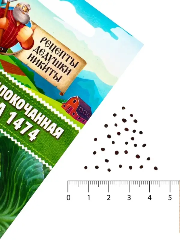 Семена Капуста белокочанная &laquo;Зимовка 1474&raquo;, 0.1 г