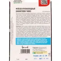 Семена цветов Фейхоа Крупноплодный 7 шт.  12.29 г.