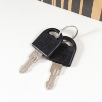 Сейф-книга дерево кожзам "Золотая зебра" 27х18х7 см