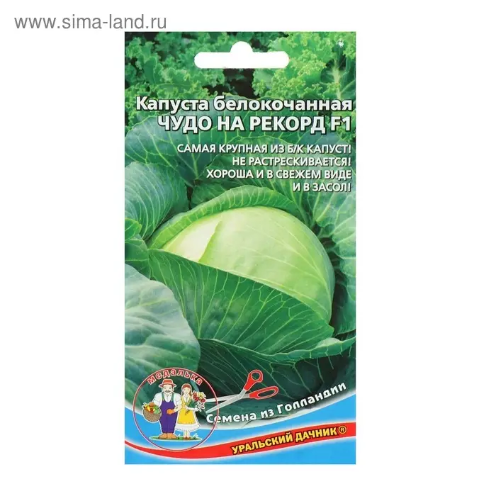 Семена Капусты белокочанной "Чудо на рекорд" F1 позднеспелый,крупнокочанный, 0,3 г