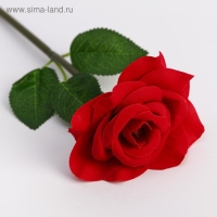 Ручка прикол, шариковая, синяя паста, 1.0 мм, пластик &laquo;Самая нежная&raquo;