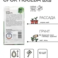 Семена Огурец "Зозуля", 10 шт