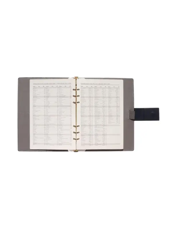 Органайзер на кольцах, А5, с хлястиком, 80л, линия, к/зам, Синий