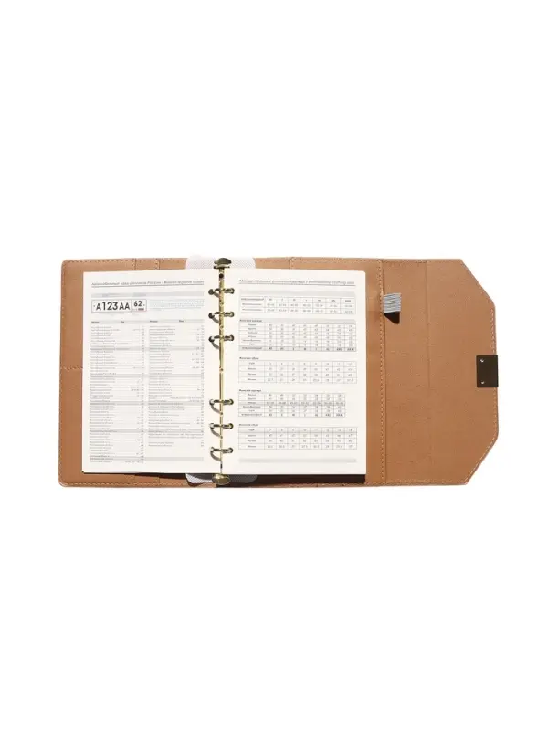 Органайзер на кольцах, C6, с клапаном, 80л, линия, к/зам, Бежевый