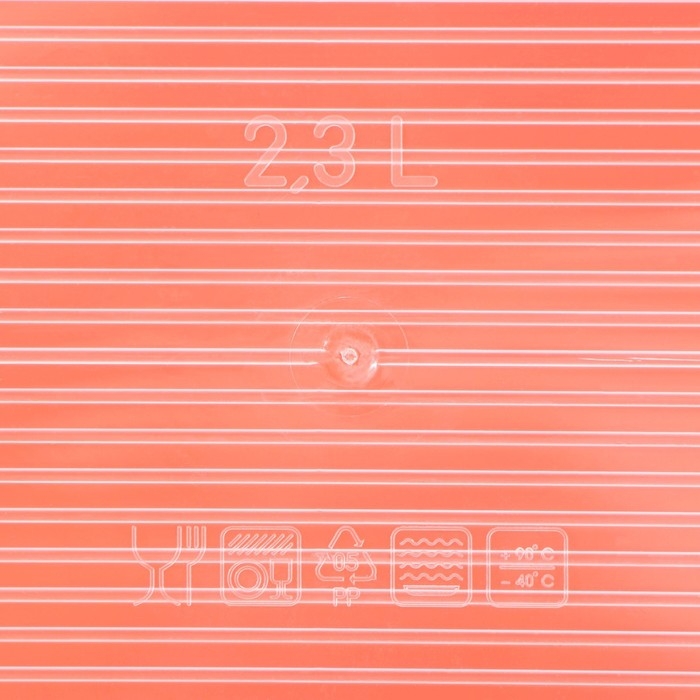 Набор пищевых контейнеров &laquo;BioFresh&raquo;, 4 шт: 500 мл, 1 л, 1,6 л, 2,3 л, прозрачные, крышки микс