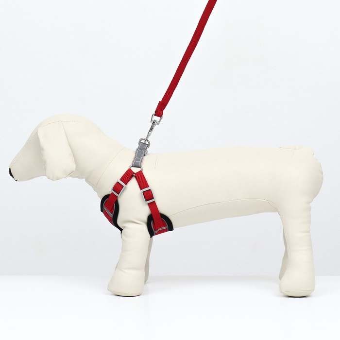 Комплект Sport+, S, поводок 120 x 1,5 см, ОШ 39-41 см , ОГ 44-48 см, вес животного 7-13 кг, красный