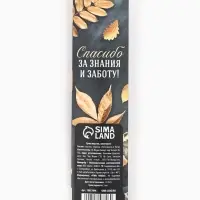 Ручка пластик в конверте "Дорогой учитель", синяя паста 0.7 мм