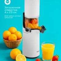 Соковыжималка электрическая шнековая SC-JE50S59