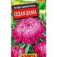 Семена цветов Астра Седая дама , Ц/П,0,2 г