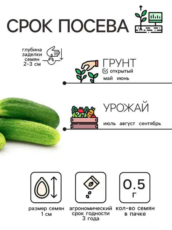 Семена Огурец &laquo;Феникс&raquo;, пчелоопыляемый, среднеспелый, 0.5 г