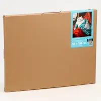 Картина по номерам на холсте с подрамником &laquo;Уставший кот&raquo; 40&times;50 см