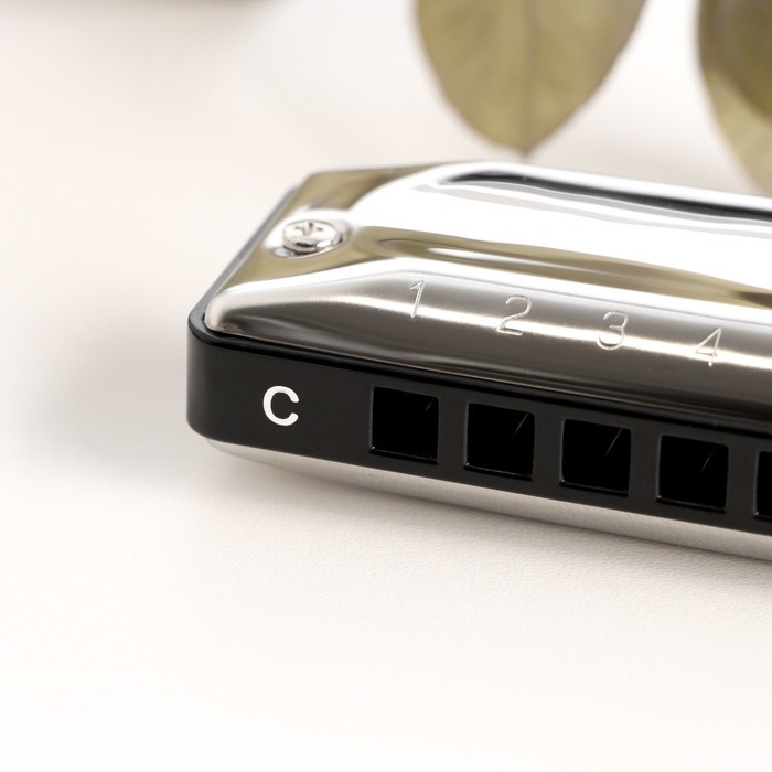 Губная гармошка Music Life T002 C диатоническая, 10 отверстий, с футляром