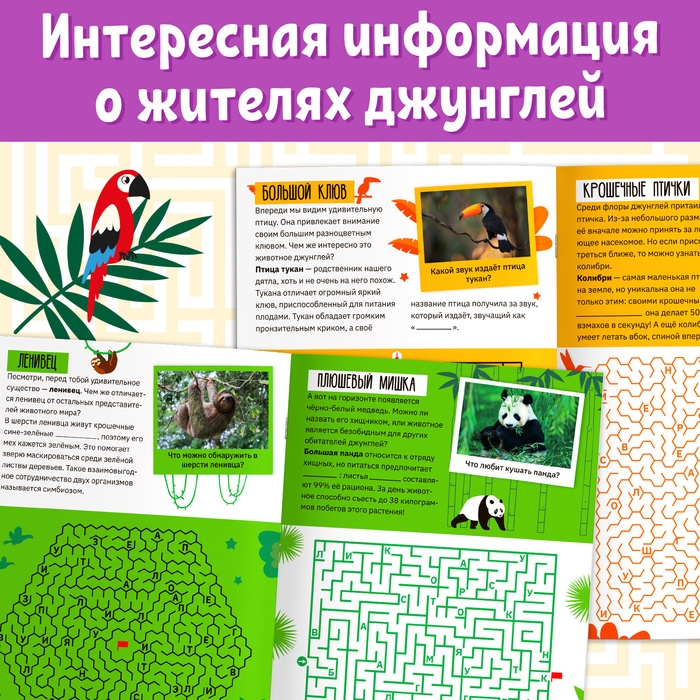 Книга &laquo;Лабиринты и факты. По лианам в джунгли&raquo;, 24 стр.