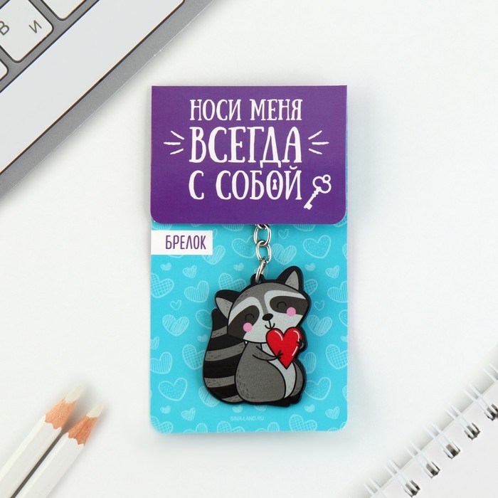 Брелок для ключей акриловый &laquo;Енот&raquo;, 3,5 х 10 см