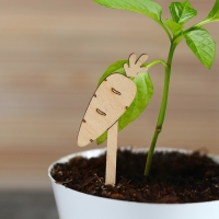 Таблички садовые для маркировки, 12 см, набор 8 шт., дерево, &laquo;Морковь&raquo;, Greengo