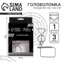 Головоломка Игры разума &laquo;Раздели на части&raquo; №8