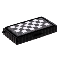 Настольная игра &laquo;Шашки, шахматы&raquo;, 2 в 1, на магнитах, 4+