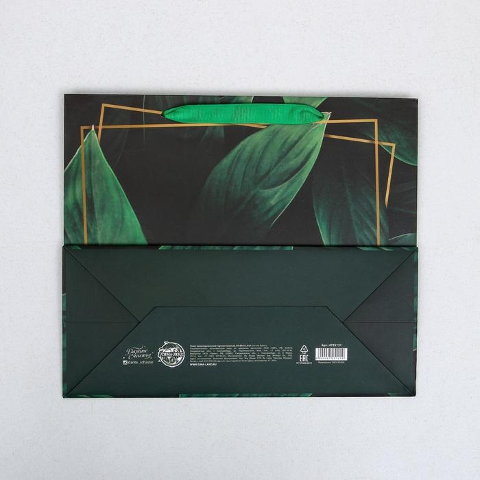 Пакет подарочный ламинированный горизонтальный, упаковка, &laquo;Present for you&raquo;, ML 27 х 23 х 11,5 см