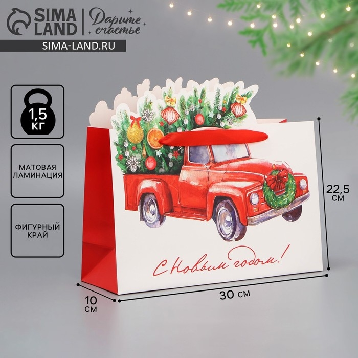 Пакет подарочный новогодний &laquo;Спешу к тебе&raquo;, 30 х 25 х 10 см, Новый год