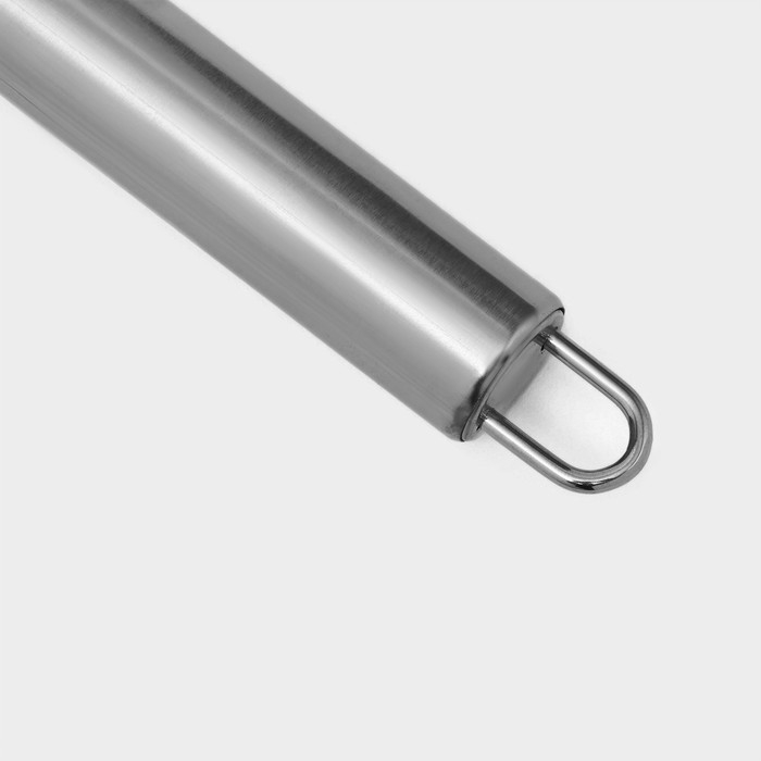 Рыбочистка Доляна &laquo;Металлик&raquo;, 20 см, цвет серебристый