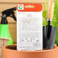 Семена Томат &laquo;Лентяйка&raquo;, раннеспелый, детерминантный, низкорослый, 20 шт. &laquo;Сибирский сад&raquo;