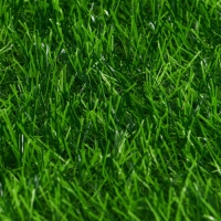 Газон искусственный, ворс 30 мм, 1 &times; 2 м, зелёный, Greengo