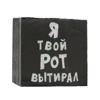 Салфетки бумажные однослойные &laquo;Я твой рот вытирал&raquo;, 24&times;24, 50 шт.