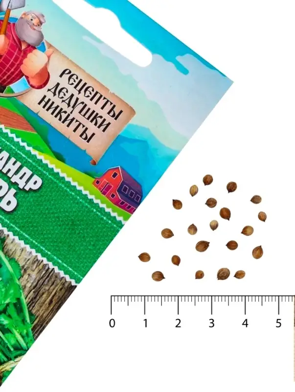 Семена Кориандр "Янтарь", 5 г