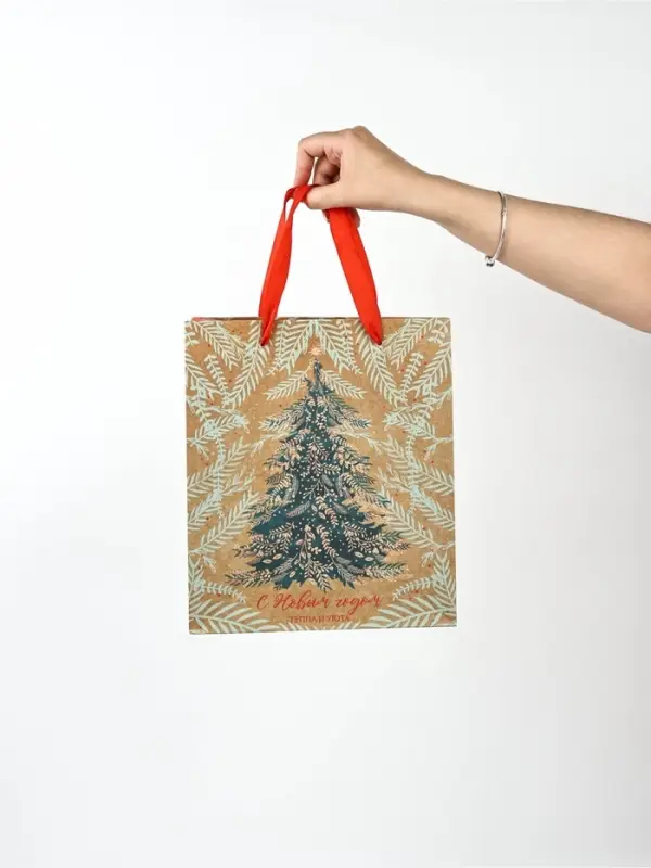 Набор пакетов крафтовых &laquo;Новогоднее поздравление&raquo;