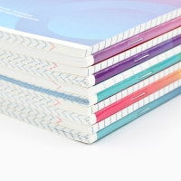 Набор тетрадей 48 листов, 10 предметов, внутренний блок №1 &laquo;Градиент&raquo; ТВИН лак, уф лак