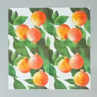Салфетки бумажные трёхслойные &laquo;Апельсиновые шары&raquo;, 33х33, 20 шт