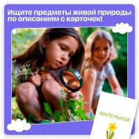 Развивающий набор &laquo;Отыщи и покажи&raquo;, 54 карточки, 3+