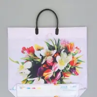 Пакет "Весенний вальс", полиэтиленовый с пластиковой ручкой, 38 х 34 + 3 см, 90 мкм