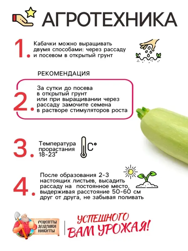 Семена Кабачок "Белоплодные", 1 г