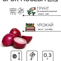 Семена Лук репчатый "Кармен МС", 0,3 г