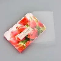 Коробка для печенья, &laquo;Тюльпаны&raquo;, 22&times;15&times;3 см