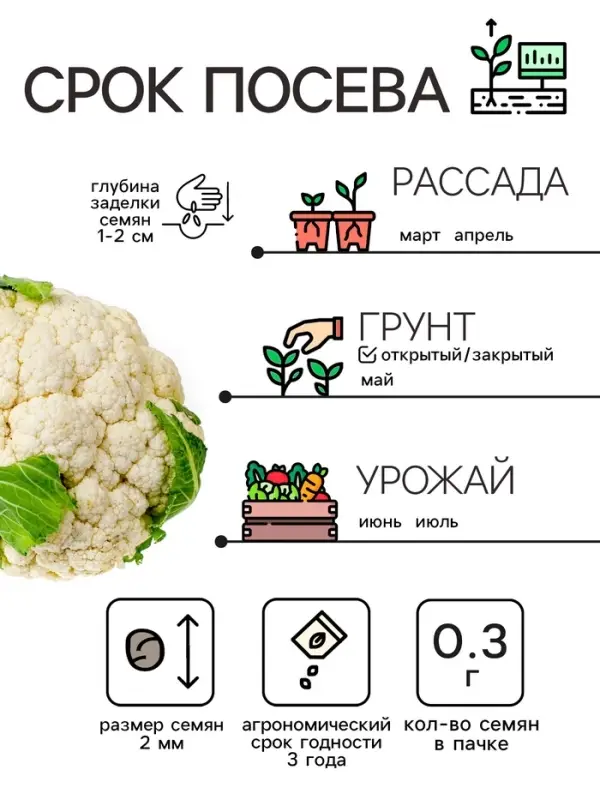 Семена Капуста цветная "Сноуболл 123", 0,3 г