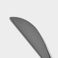 Набор ножей столовых из нержавеющей стали Magistro &laquo;Блинк&raquo;, длина 22,4 см, 6 шт, цвет серебряный