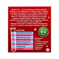 Набор для опытов &laquo;Новогодние чудеса&raquo;