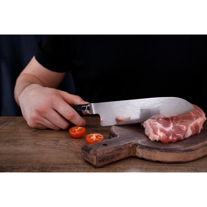 Нож сантоку Magistro &laquo;Ортего&raquo;, длина лезвия 18 см, дамасская сталь AUS-10