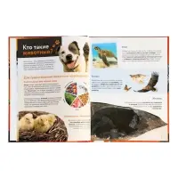 Энциклопедия в твёрдом переплёте "Животные", 128 страниц