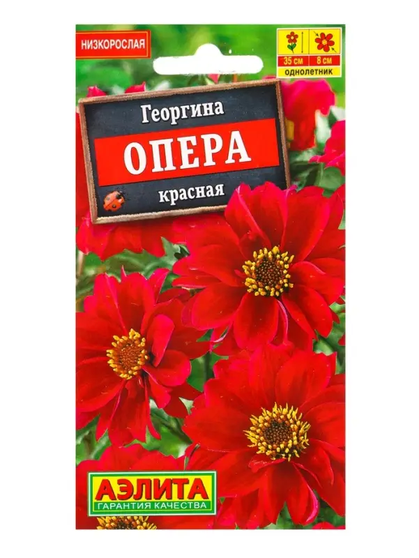 Семена цветов Георгина Опера красная , Ц/П,7 шт.