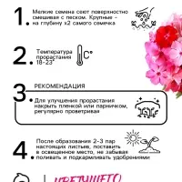 Семена цветов Флокс "Разноцветная смесь", 0,1 г