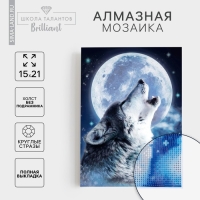 Алмазная мозаика с полным заполнением на холсте &laquo;Волк&raquo;, 15 х 21 см