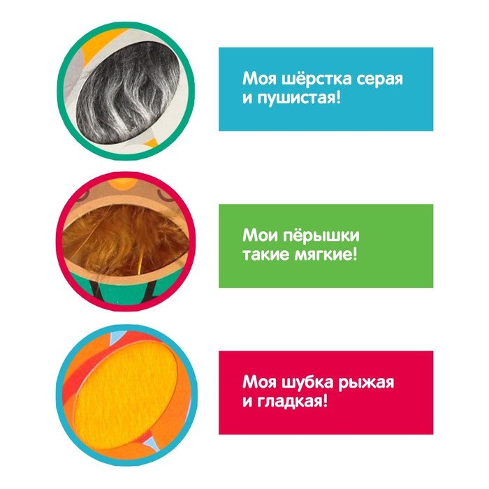 Развивающий набор &laquo;Животные леса&raquo;, тактильные карточки