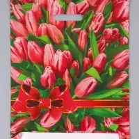 Пакет &laquo;Атласный бант&raquo;, полиэтиленовый с вырубной ручкой, 37&times;46 см, 30 мкм