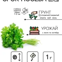 Семена Петрушка "Итальянский богатырь", 1 г