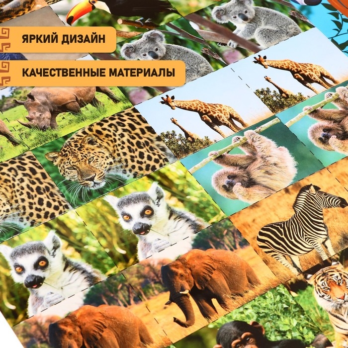 Настольная игра &laquo;Бродилка. Путешествие по джунглям&raquo;