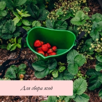 Ёмкость для сбора ягод, 3 л, тёмно-зелёная