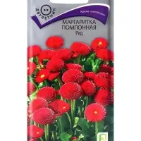 Семена цветов Маргаритка помпонная Ред, 0,05гр